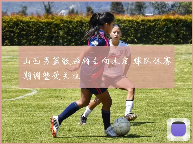 山西男篮张涵钧去向未定 球队休赛期调整受关注